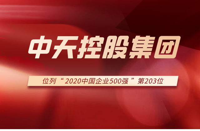 BJL平台集团列2020中国企业500强第203位！